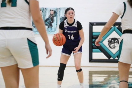 Stanton’s Piper French scored a game-high 22 points in the Viqueens’ 59-33 win over Essex. (Submitted photo)